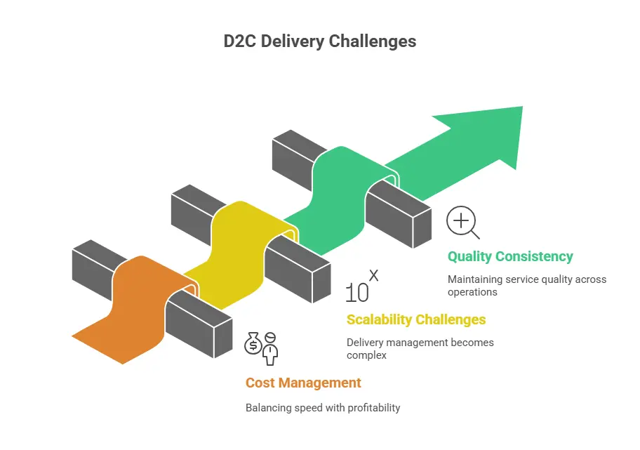 D2C Delivery Challenges