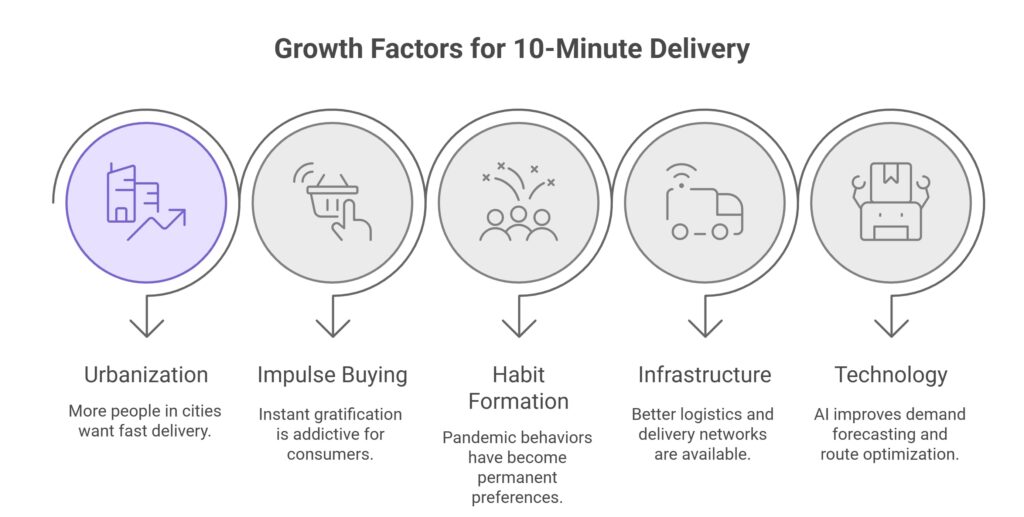 The Evolution of 10-Minute Delivery E-commerce